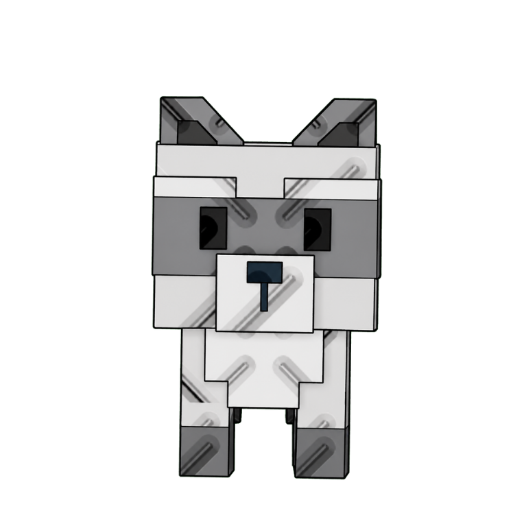 Raccoon